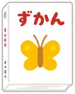 表紙にちょうちょが描かれた虫の図鑑のイラスト